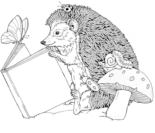 Coloring book hedgehog reading a book